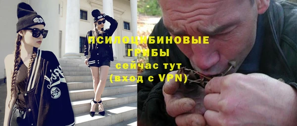 apvp Вязники