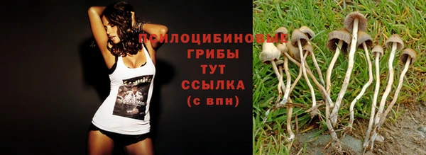 соль курить ск Вяземский